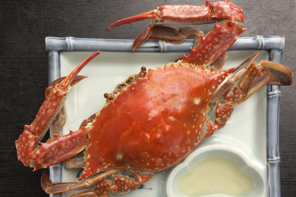 料理