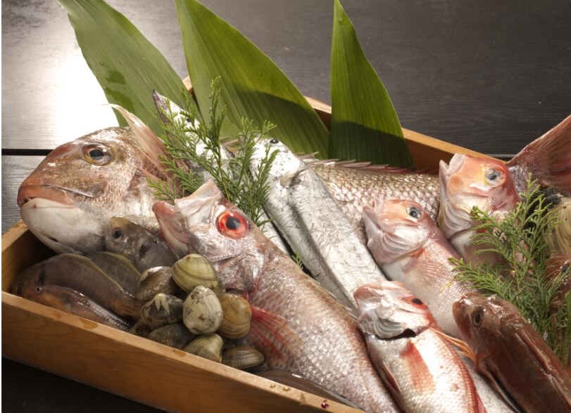 魚