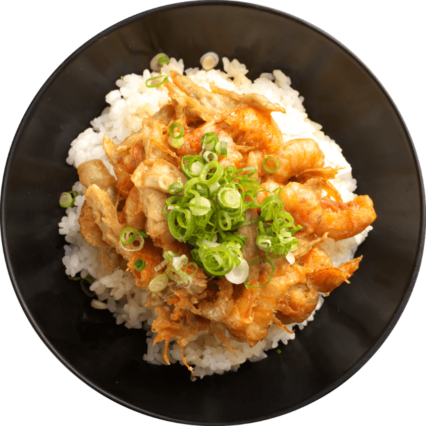 おすすめ料理